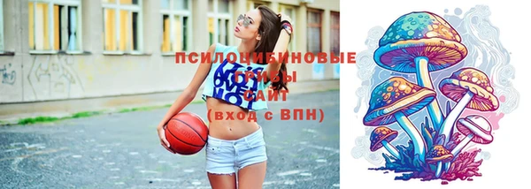 скорость Арсеньев