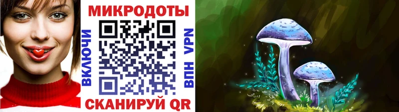 Купить где  Тутаев  Псилоцибиновые грибы ЛСД 