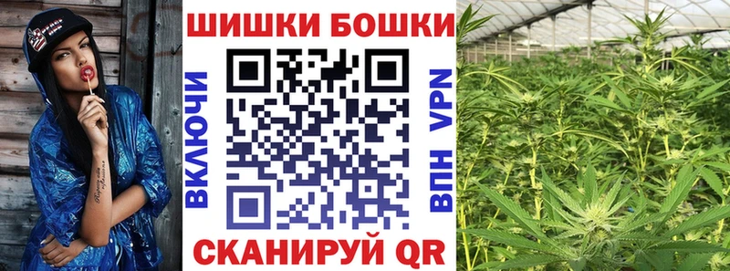 Канабис OG Kush  Купить где  Тутаев 